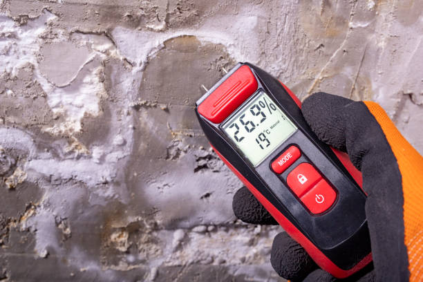 Best Mold Testing  in Buena Vista, MI