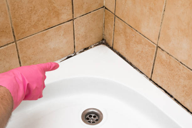 Best Residential Mold Removal  in Buena Vista, MI